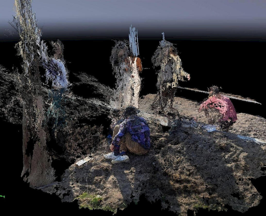 Zoöp DataFusion: point cloud portraits