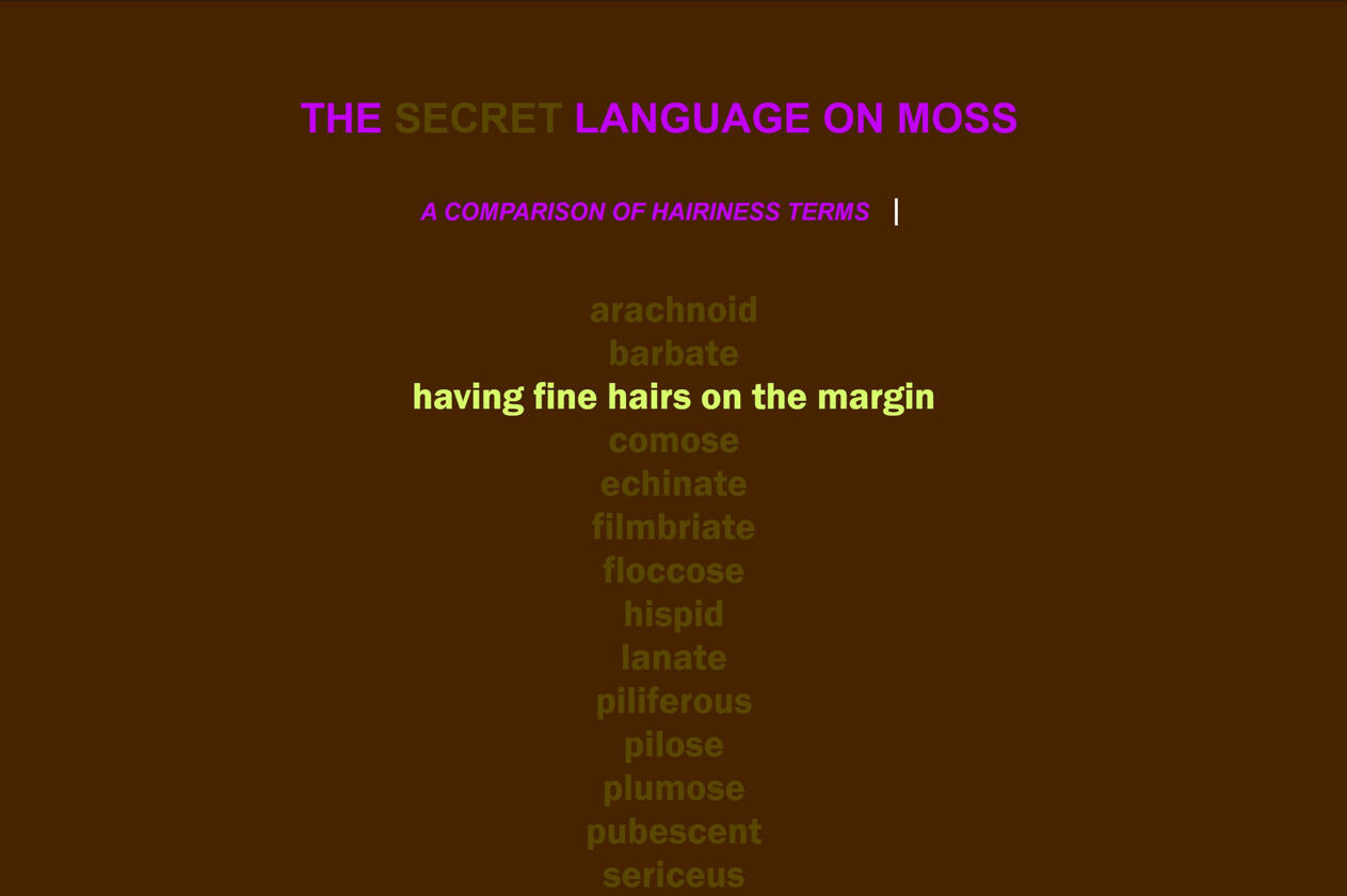 Mosses: a hairy vocabulary